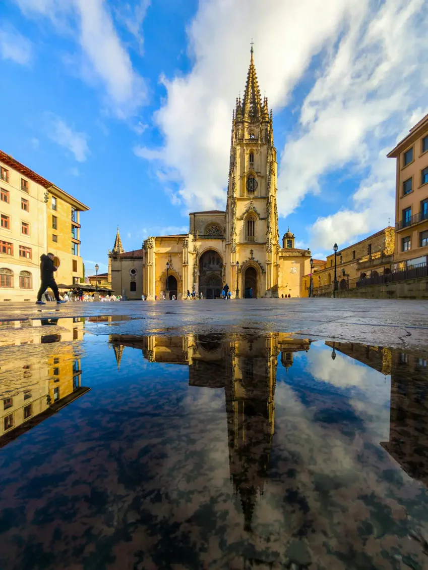 sociedad asturiana de patologia aparato respiratorio